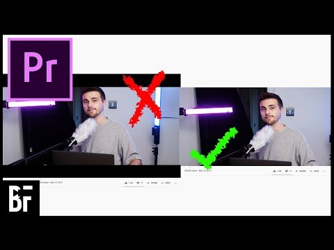 5 EASY Text Effects in Adobe Premiere Pro 2024