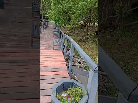 Playa Cangrejal Samara Guanacaste #CostaRica