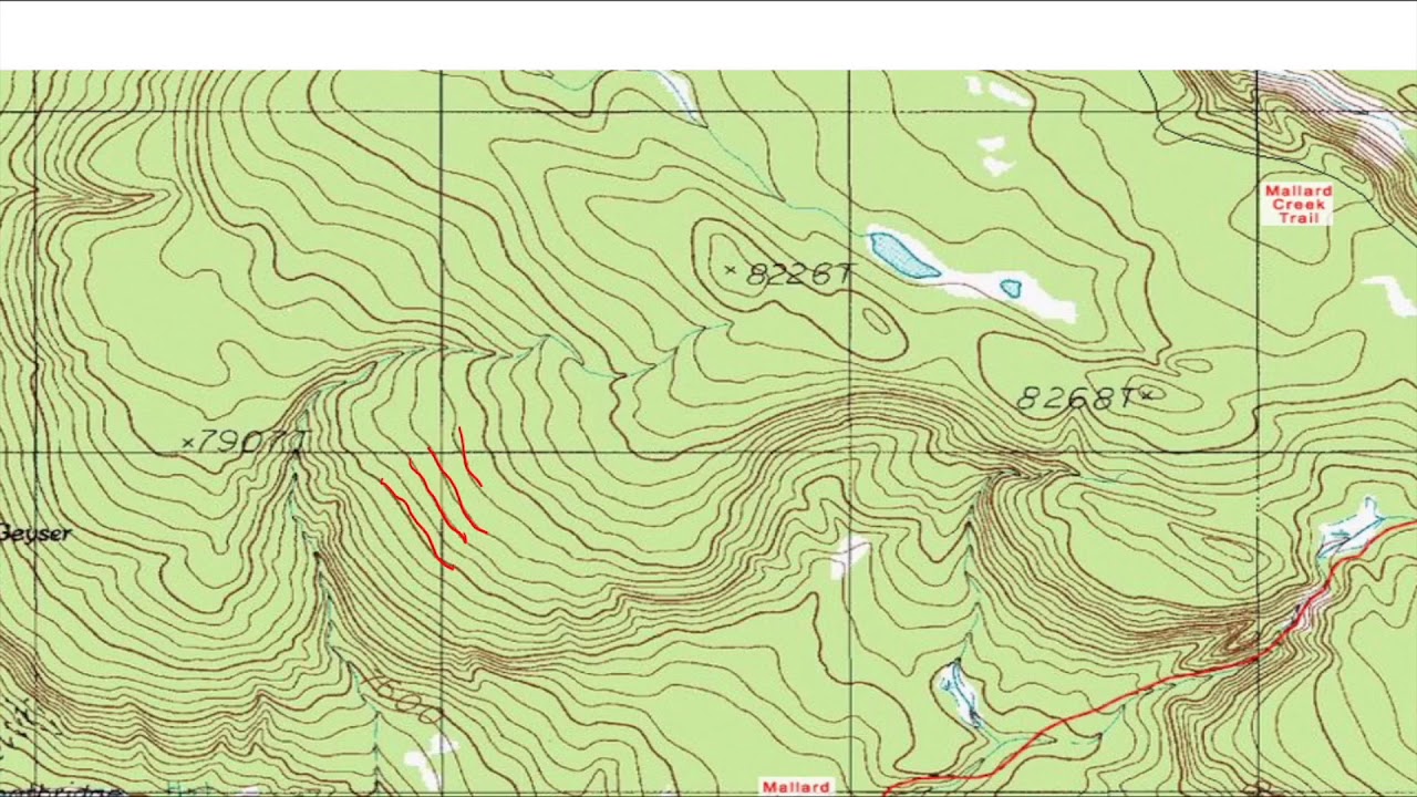 Map Colors on a Topographical Map