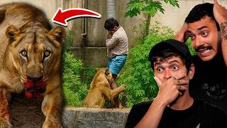 O JOVEM que INVADIU A JAULA da LEOA – Entenda o Caso