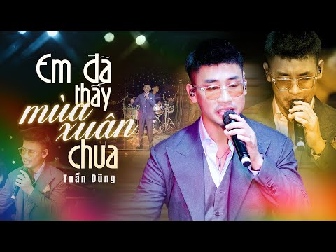 Em Đã Thấy Mùa Xuân Chưa - Nguyễn Đình Tuấn Dũng | Live Band | Phòng Trà Không Tên