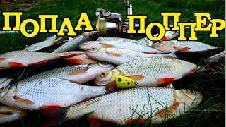 Ловля красноперки на тройник