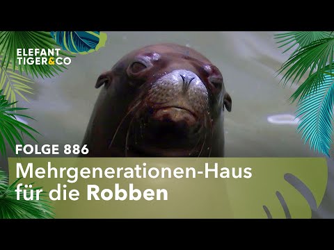 Waterworld (Folge 886) | Elefant, Tiger & Co. | MDR