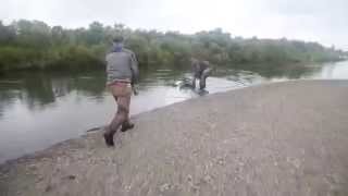 Commando Heads for Alaskan Rainbows - OPST