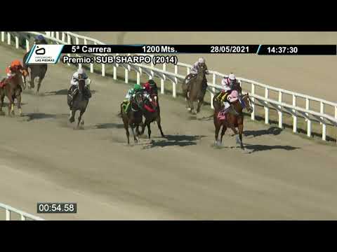 210528 c05 - WILD RITZ - HIPODROMO LAS PIEDRAS