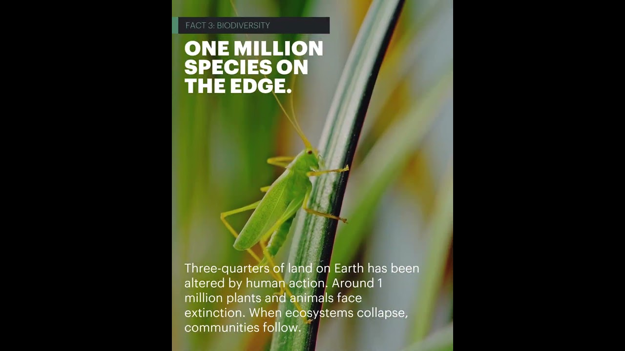 CORE: Climate Change Facts the World Can't Ignore