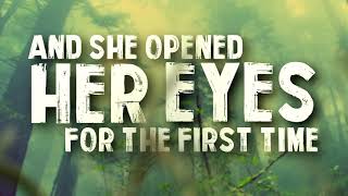 (Official Lyrics Video) &quot;DREAMSEEKER&quot; by THE LUCID