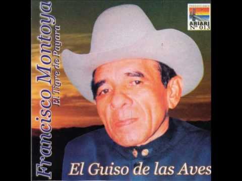 FG  Cucarachero Araucano - Francisco Montoya