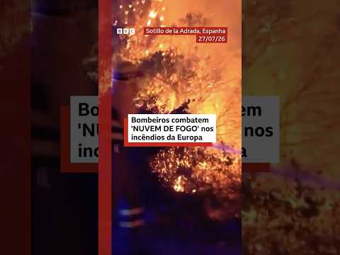 Incêndios florestais em meio a onda de calor na Europa