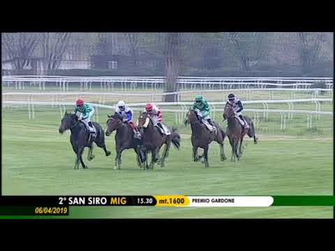 2019.04.06 Premio Gardone (ITA) - Mission Boy