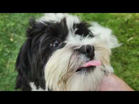 Jack & Rose on 4/25/2022