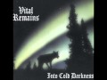 Vital Remains -Countess Bathory (Venom cover)