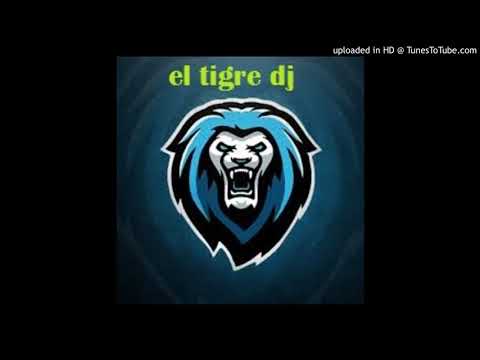 el chaval bachata EL TIGRE DJ