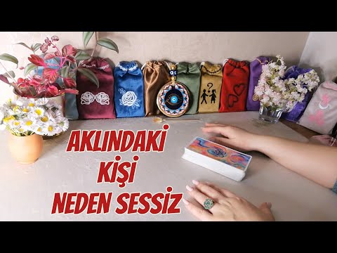 WHY DOES THE PERSON IN MIND HAVE A SILENT PLAN AND WHAT IS THE POSSIBLE PROCESS?