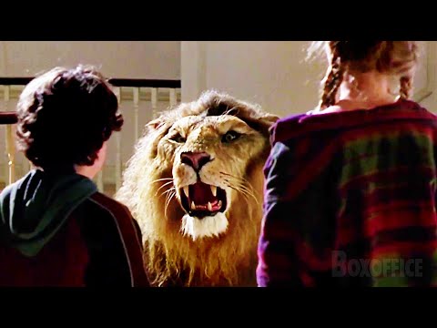 A lion in the house!