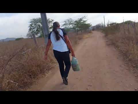 Indo para feira de Canapi AL 