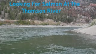 Looking For Salmon At The Thompson River
