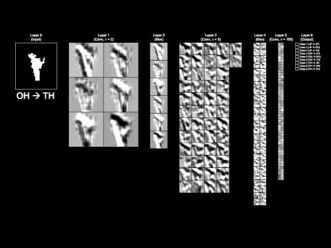 Self-Organization of Spatio-Temporal Hierarchy via Learning of Dynamic Visual Image Patterns...
