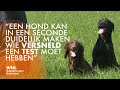 'Honden kunnen een meerwaarde zijn bij detecteren corona'