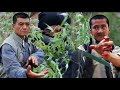 Full Movie Kung Fu Kid Vs Japanese Ninjas Tai Chi Eagle Claw Skills Versus Japanese Martial Arts