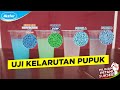 Inspirasi 62+ Pupuk Npk Compaction Dgw