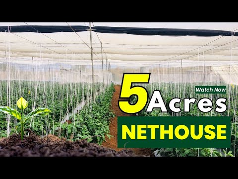 Video 9 Thumbnail