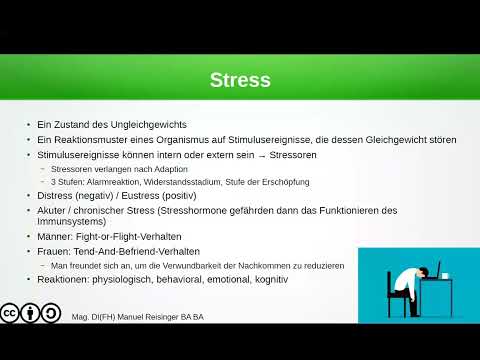 Psychologie - Stress - Stressoren und Stressreaktionen