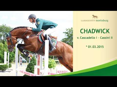 CHADWICK v. Cascadello I - Cassini II