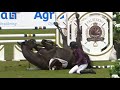 Horrible horse fail- FULL VIDEO 4K #equestrian #horseriding #horsefail #showjumping #4khorsefail