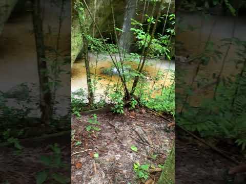 Cachoeira em Presidente Figueiredo #amazonas #manaus #cachoeira