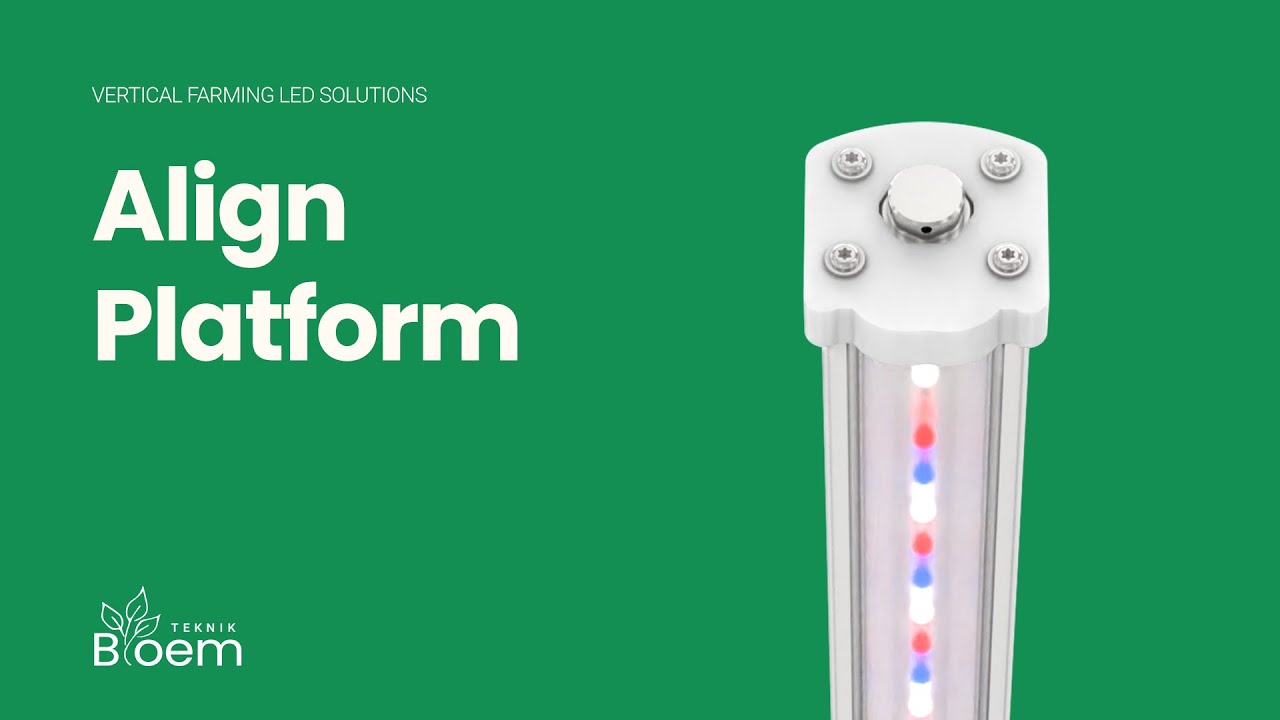 Align Platform - Raise the Bar