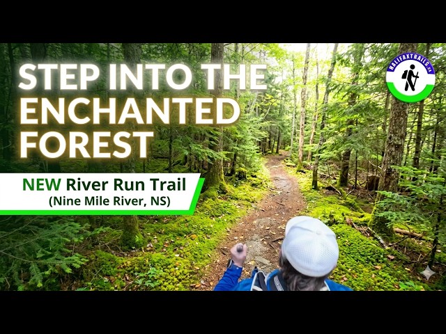 Trail Video Preview