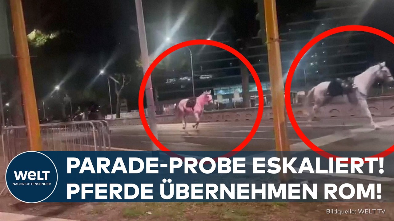 AUSNAHMEZUSTAND IN ROM: Chaos auf vier Hufen! Paradepferde legen Verkehr lahm!