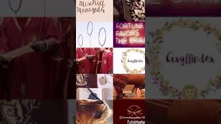 Gryffindor stuff(not my song)