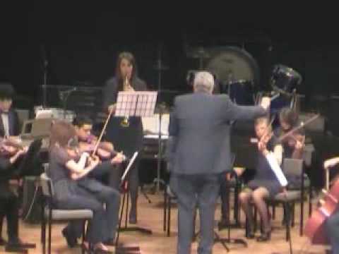 Oldham Youth Chamber Orchestra plays Gabriel's Oboe 09