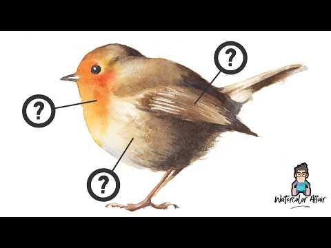 3 Must-Try Watercolor Techniques for Beginners! (Paint a Robin Bird)
