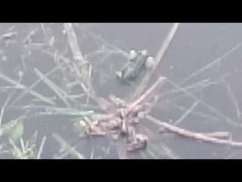 Stary Młyn nad Tywą