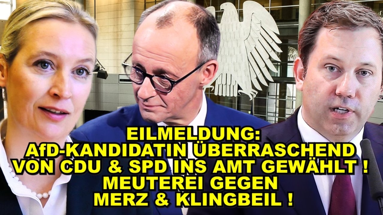 EIL: AfD-FRAU von CDU & SPD GEWÄHLT! 