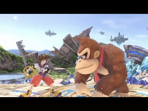 sora vs donkey kong evo finals (real)