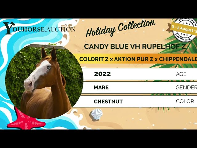 Candy Blue vh Rupelhof Z