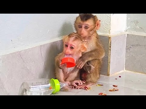 Charlie and Sakana look scared, worried about mum's penalty after they make a mess.