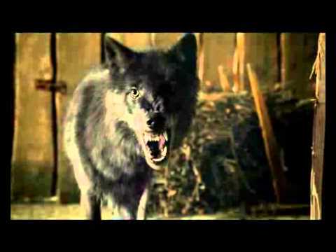 now 101台首播法國劇集《回魂都市》