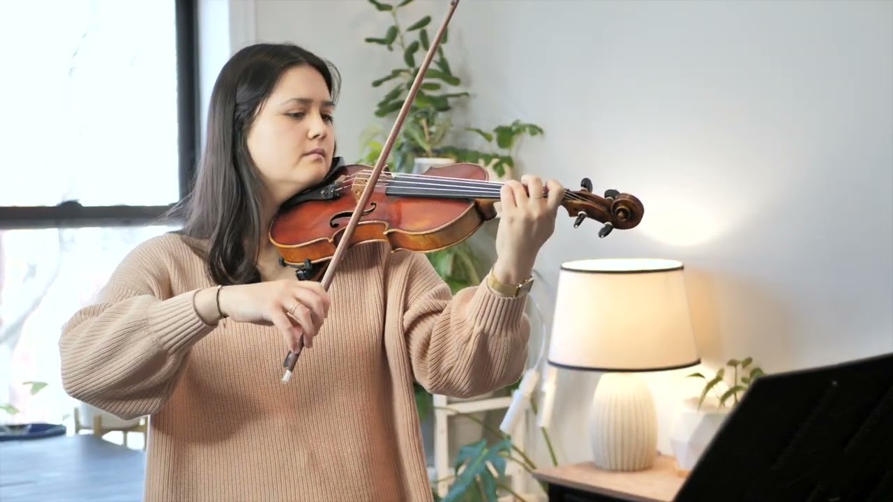 Promotional video thumbnail 4 for Evanston Strings, Elegant & Professional Live Music