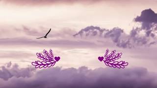 Karina Plumas y sangre + Letra