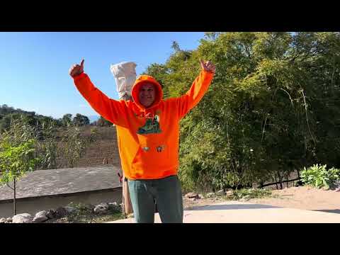 Ve a ver quién se aproxima Oso 🐻 