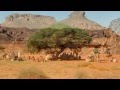 raoui (le conteur) - souad massì 