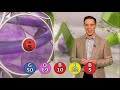 Telly Bingo 23 10 2020