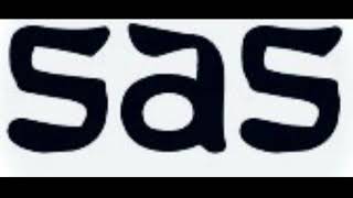 s.a.s. - you said it (beverly cover)