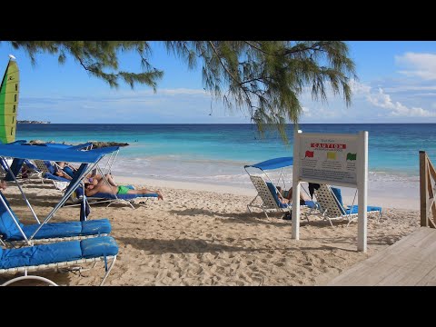 Videos del Turtle Beach By Elegant 4★ en Christ Church, Barbados
Ver Más
Ver
Precios
20
Cerrar
Consulta por Whatsapp 🇦🇷
Booking
Tripadvisor
Expedia
Agoda
Travelocity
Orbitz
Priceline
Trip
Skyscanner
Despegar
Kayak
Hoteles
Bestday
Destinia
Trivago
Turismocity
Lastminute
Hotwire
Tui
Wotif