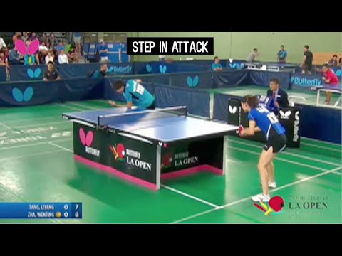 Butterfly Training Tips with Wenting Zha   1  Step In Attack